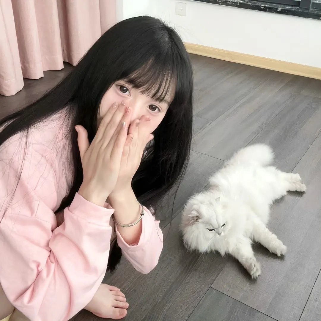 熊本少女 海报